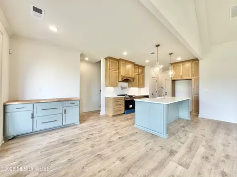 Kitchen - 4220 Adriane Cv, Nesbit, MS 38651 photo 3 of 4