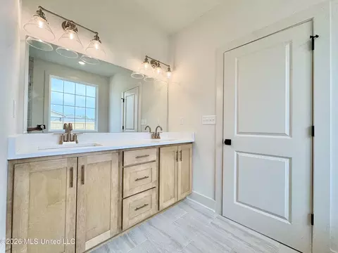 Bath - 4220 Adriane Cv, Nesbit, MS 38651 photo 3 of 6