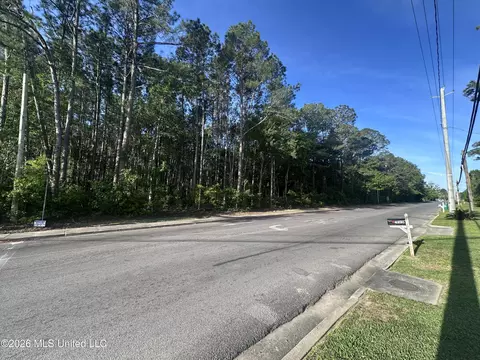 Martin Luther King Boulevard, Moss Point, MS 39563 photo 2