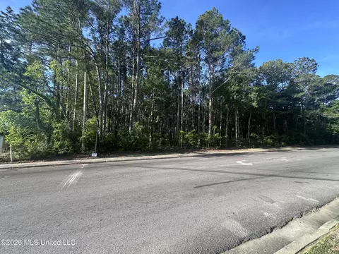 Martin Luther King Boulevard, Moss Point, MS 39563 photo 3