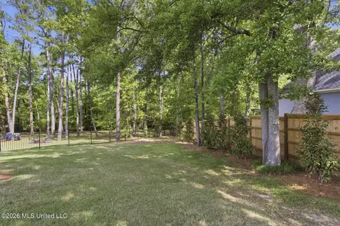 Exterior - 304 Fairway Cv, Brandon, MS 39047 photo 7 of 8