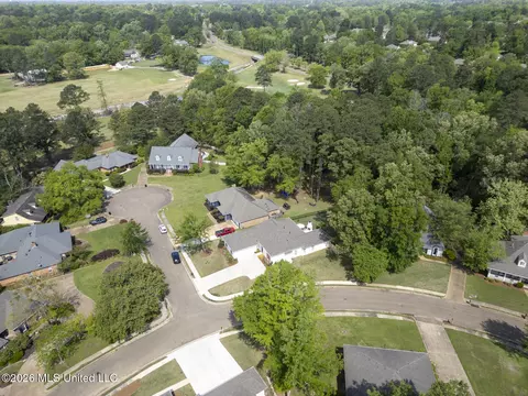 View/Area - 304 Fairway Cv, Brandon, MS 39047 photo 1 of 3