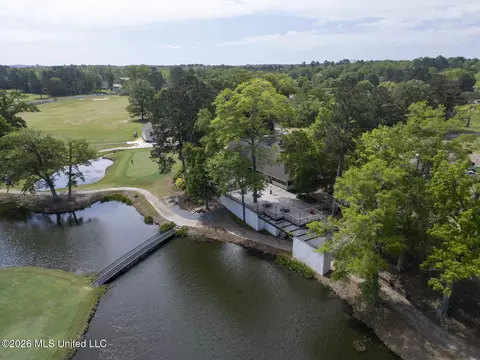 View/Area - 304 Fairway Cv, Brandon, MS 39047 photo 3 of 3