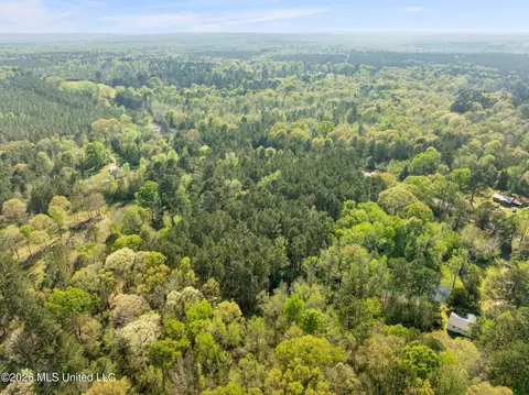 3 Acres Will Barber Rd, Pinola, MS 39149 photo 10