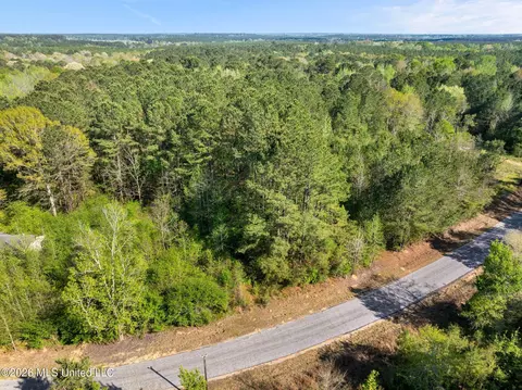 3 Acres Will Barber Rd, Pinola, MS 39149 photo 4