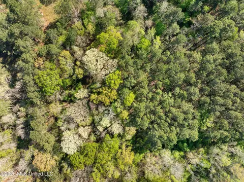 3 Acres Will Barber Rd, Pinola, MS 39149 photo 6