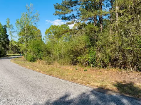 3 Acres Will Barber Rd, Pinola, MS 39149 photo 2