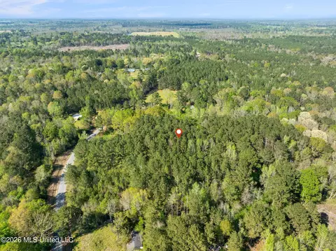3 Acres Will Barber Rd, Pinola, MS 39149 photo 13