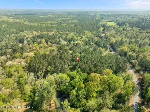 3 Acres Will Barber Rd, Pinola, MS 39149 photo 9