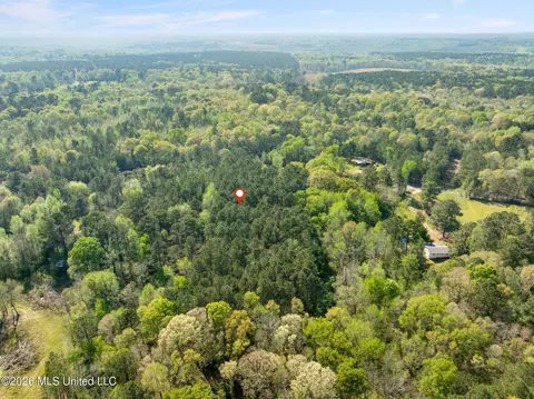 3 Acres Will Barber Rd, Pinola, MS 39149 photo 11