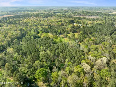 3 Acres Will Barber Rd, Pinola, MS 39149 photo 12