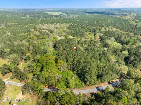 3 Acres Will Barber Rd, Pinola, MS 39149 photo 7