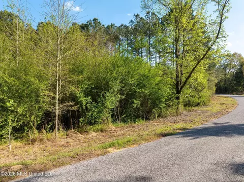 3 Acres Will Barber Rd, Pinola, MS 39149 photo 3