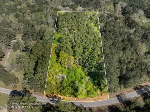3 Acres Will Barber Rd, Pinola, MS 39149