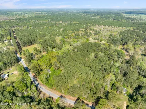 3 Acres Will Barber Rd, Pinola, MS 39149 photo 14