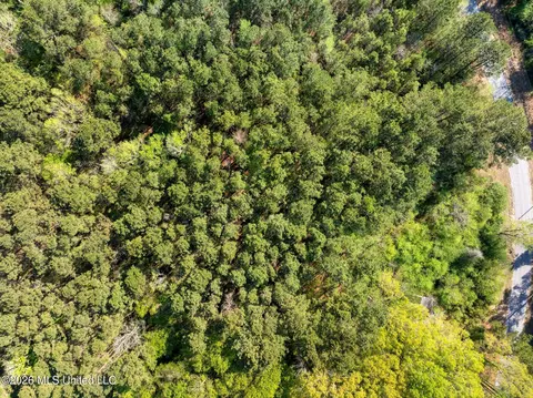 3 Acres Will Barber Rd, Pinola, MS 39149 photo 5