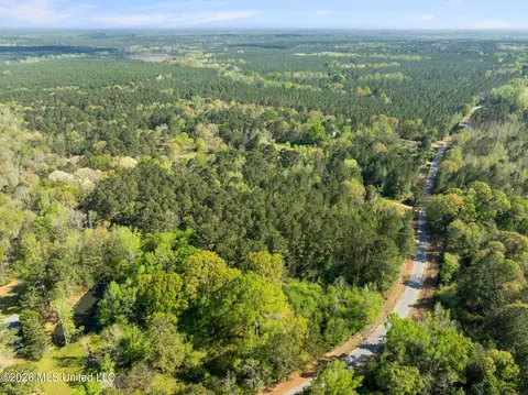 3 Acres Will Barber Rd, Pinola, MS 39149 photo 8