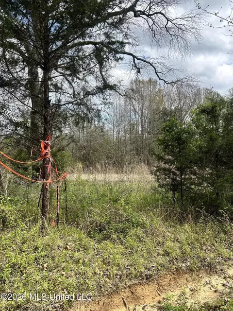 lot1 Matthews Dr, Byhalia, MS 38611