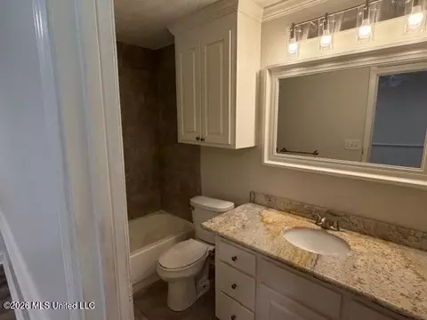 Bath - 432 Arundel Dr, Brandon, MS 39047 photo 6 of 8