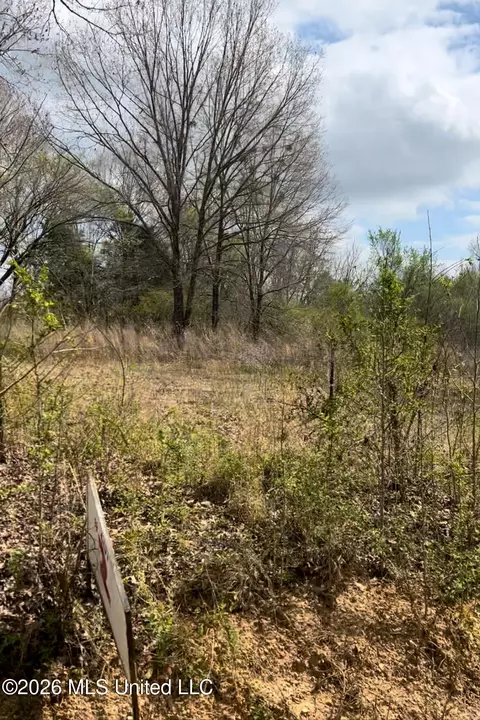 lot2 Matthews Dr, Byhalia, MS 38611