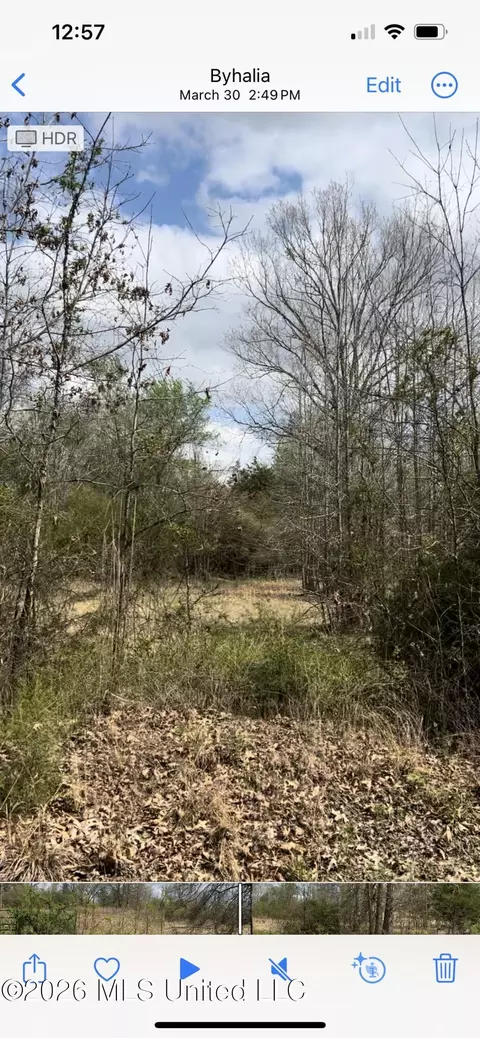 lot3 Matthews Dr, Byhalia, MS 38611