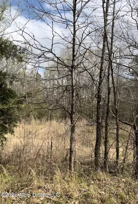 lot4 Matthews Dr, Byhalia, MS 38611