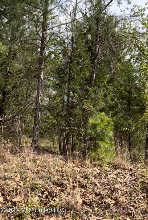 lot7 Matthews Dr, Byhalia, MS 38611