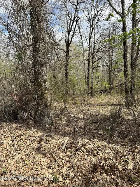 lot8 Matthews Dr, Byhalia, MS 38611