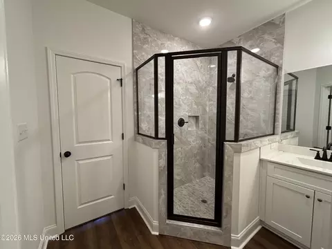 Bath - 6069 E River Birch Rd, Walls, MS 38680 photo 1 of 1