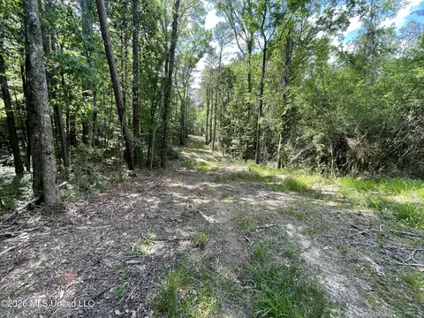 420 SE River Rd Dr, Bogue Chitto, MS 39629