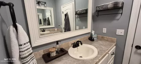 Bath - 155 Amethyst Dr, Brandon, MS 39047 photo 6 of 7