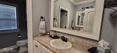 Bath - 155 Amethyst Dr, Brandon, MS 39047 photo 7 of 7