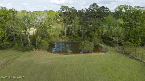View/Area - 101 Lakeview Rd, Brandon, MS 39047 photo 10 of 10