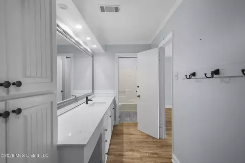 Bath - 101 Lakeview Rd, Brandon, MS 39047 photo 4 of 15