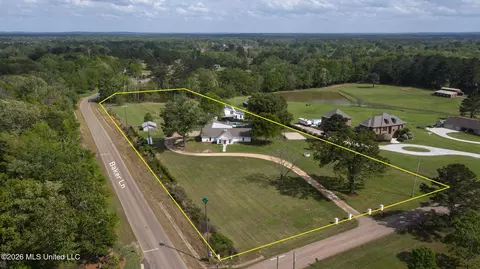 View/Area - 101 Lakeview Rd, Brandon, MS 39047 photo 3 of 10