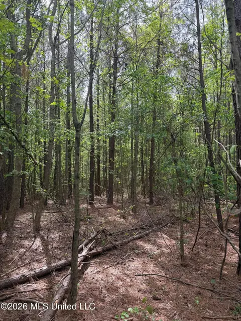 Old Jackson Road, De Kalb, MS 39328 photo 7