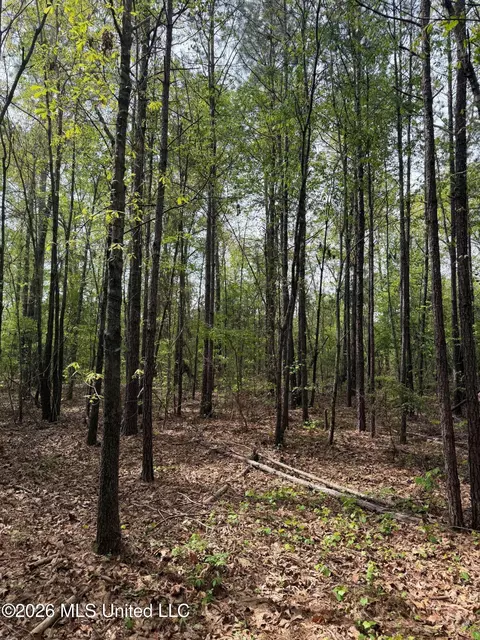 Old Jackson Road, De Kalb, MS 39328 photo 2