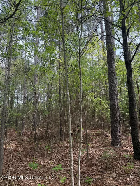 Old Jackson Road, De Kalb, MS 39328 photo 10