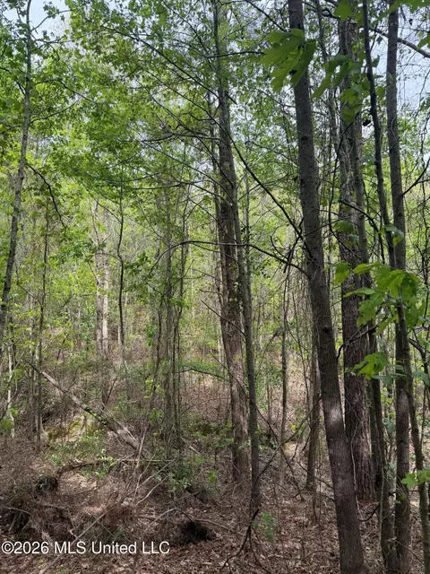Old Jackson Road, De Kalb, MS 39328 photo 15
