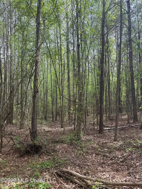 Old Jackson Road, De Kalb, MS 39328 photo 5