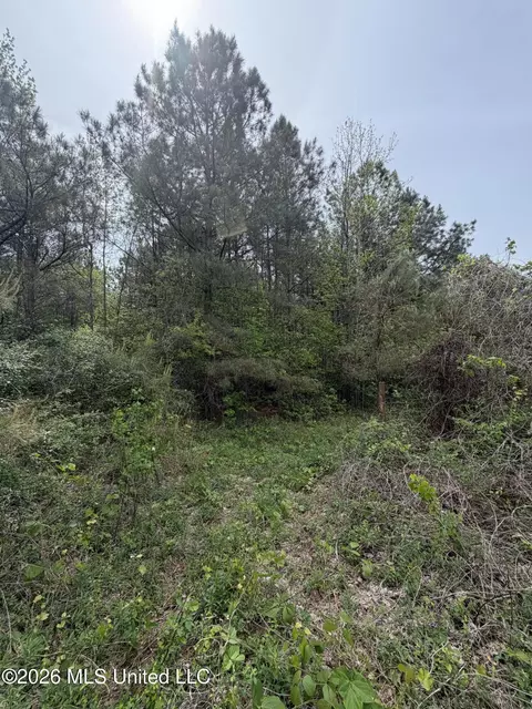 Old Jackson Road, De Kalb, MS 39328 photo 13