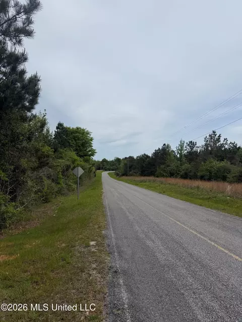 Old Jackson Road, De Kalb, MS 39328 photo 16