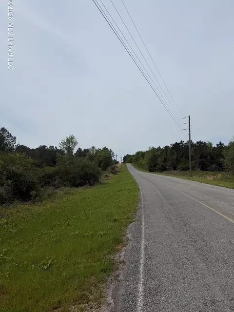 Old Jackson Road, De Kalb, MS 39328