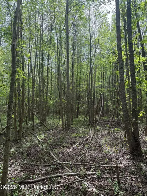 Old Jackson Road, De Kalb, MS 39328 photo 9