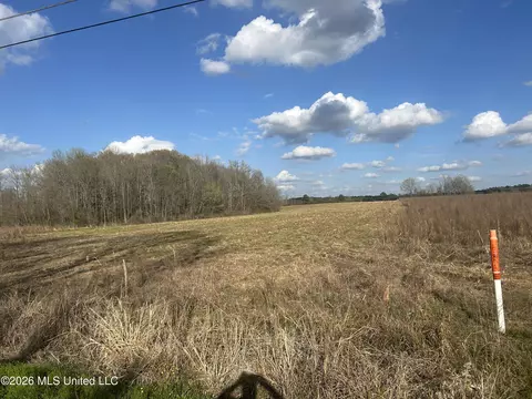 Old Hillsboro Road, Morton, MS 39117