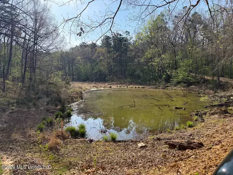 674 E J Henry Rd, Grenada, MS 38901 photo 22