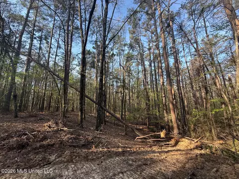 674 E J Henry Rd, Grenada, MS 38901 photo 8