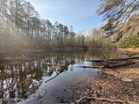 674 E J Henry Rd, Grenada, MS 38901 photo 19