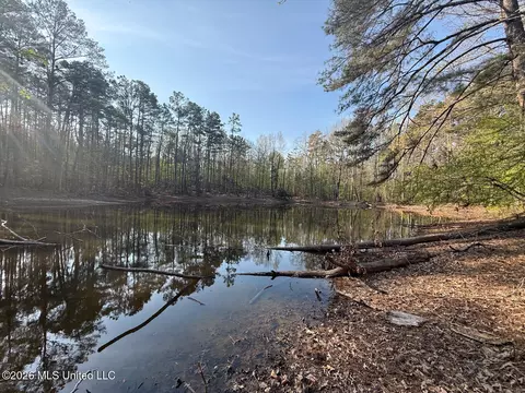 674 E J Henry Rd, Grenada, MS 38901 photo 16