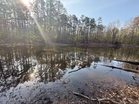 674 E J Henry Rd, Grenada, MS 38901 photo 18